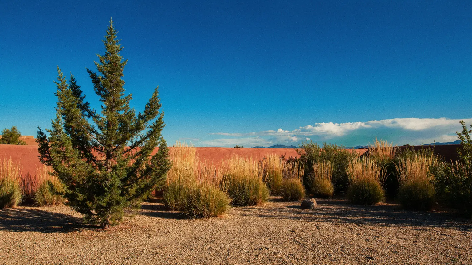 A Santa Fe gravel-and-natives yard at golden hour, adobe wall behind, grasses backlit